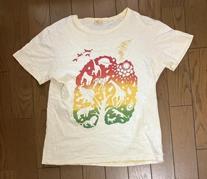 Amina（アミナ）アフリカ　Tシャツ（サイズ表記ありませんので実寸をご確認ください）