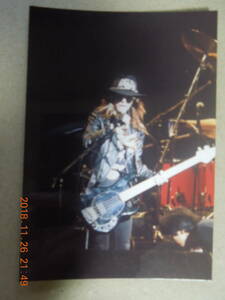 TAIJI 写真 ブロマイド 33 / X JAPAN