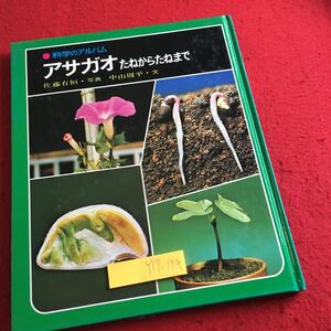 Y17-194 科学のアルバム アサガオ たねからたねまで 佐藤有恒・写真 中山周平・文 あかね書房 1981年発行 生態 たねまき 花 仲間 など