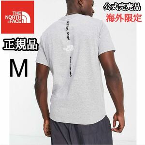 THE NORTH FACE ザ ノースフェイス VERTICAL NSE メンズ 半袖 Tシャツ バッグデザイン 海外限定 正規品 完売品 グレー 灰 S M コットン