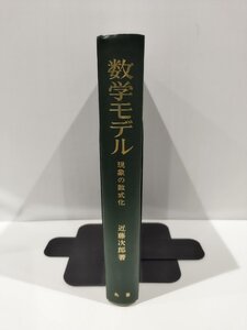 【除籍本】数学モデル　現象の数式化　近藤次郎　著　丸善株式会社【ac03e】