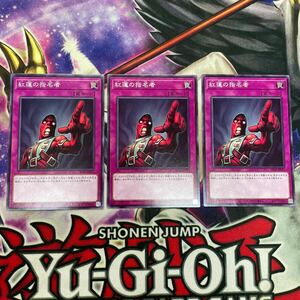 遊戯王　紅蓮の指名者　SD40-JP035 ノーマル　3枚セット