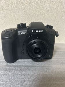 Panasonic LUMIX GH5 RD-SPM049 ミラーレス一眼カメラ　本体＋レンズ　