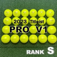 【S110】Titleist PRO V1 黄 23年 ロストボール 24球