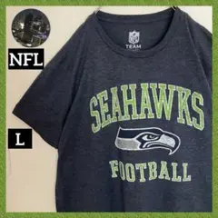 NFLシアトルシーホークスアーチビッグロゴTシャツtシャツ霜降り雰囲気古着TEE