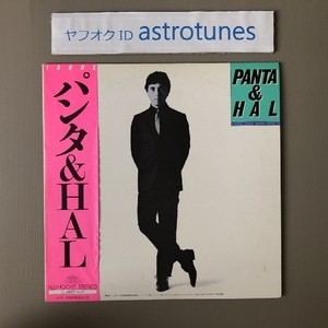 美盤 パンタ＆HAL Panta & Hal 1980年 LPレコード 1980X 国内盤 帯付Rock ディレクター鈴木慶一 東京ロッカーズ