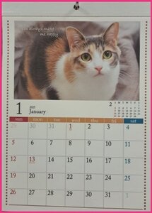 【1冊:可愛い 「子猫」カレンダー:A4 30x21cm】★2025年:壁掛け：猫 ねこ ネコ 仔猫★暦・こよみ:12面タイプ