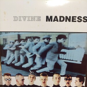 LP UK盤/MADNESS DIVINE MADNESS
