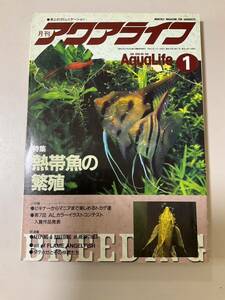 ◎月刊 アクアライフ◎1996年1月号 特集 熱帯魚の繁殖