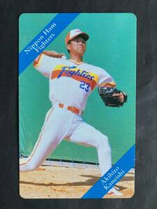 カルビープロ野球カード 93年 No.33 金石昭人 日本ハム 1993年 小文字 ① (検索用) レアブロック ショートブロック ホログラム 金枠