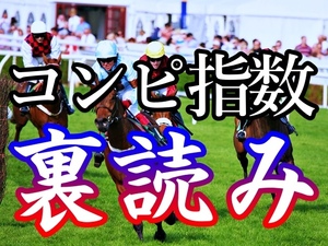 唯一無双！コンピ指数の裏読みで実現した回収率188%叩きだしソフト！日刊コンピ 在宅 副業 競馬 JRA 初心者 オリジナル 中央競馬 馬券