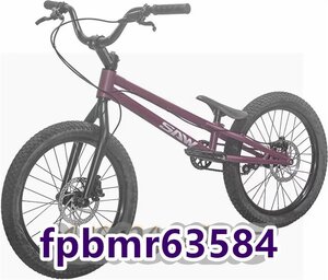 超人気★ 24インチ スタント用自転車 BMX 自転車 大人用 フロントおよびリアブレーキ付き Crmoフレームとフォーク パープル