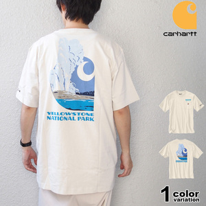 新品未使用　US限定　カーハート　Tシャツ　XL national park apartment アパートメント　スタブリッジ