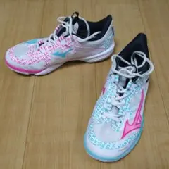 MIZUNO バドミントンシューズ ウエーブクロー NEO 2 限定モデル