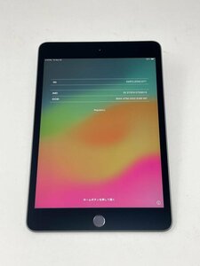 804【ジャンク品】 iPad mini 第5世代 64GB Apple 国内版SIM フリー スペースグレイ