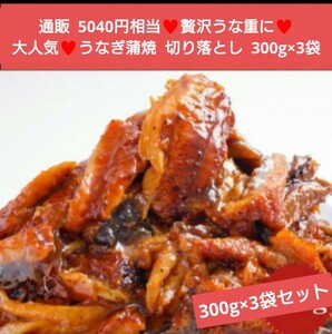 うなぎ蒲焼 切り落とし 300g×3袋 うなぎ うなぎの蒲焼 鰻 蒲焼