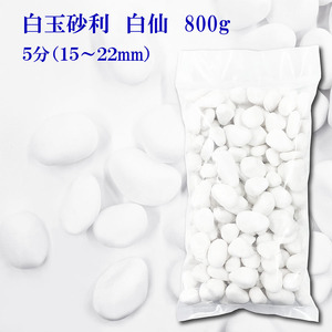 砂利　白　白玉砂利　白仙　最高級　5分　15-22ｍｍ　800g　おしゃれ庭造り　敷き砂利　敷石　駐車場　DIY　全国送料無料