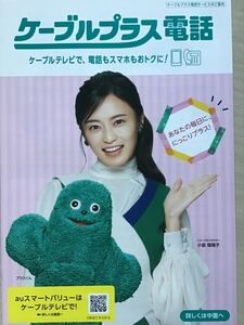 小島瑠璃子(表紙) ★ケーブルテレビ期間限定　★A4パンフ　★新品・非売品