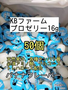 人気昆虫ゼリー KBファーム プロゼリー16g 50個カブトムシ クワガタ ハムスター フクロモモンガ ハリネズミ オオクワガタ デュビア