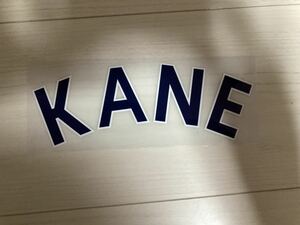 【新品】プレミアリーグ2013-2017 オフィシャルネームシート ネイビー KANE ケイン トッテナムホットスパー所属 Sporting ID社正規品