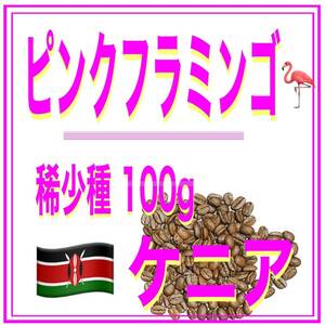 自家焙煎珈琲　ピンクフラミンゴ　100ｇ　送料無料