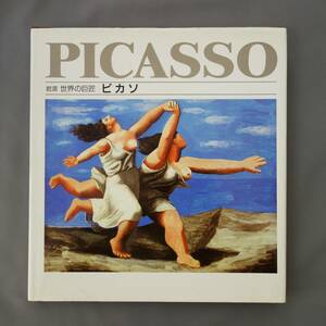 岩波 世界の巨匠 ピカソ PICASSO 岩波書店/1992年 キュビスム