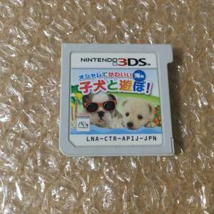 3DS オシャレでかわいい子犬と遊ぼ！ 海編 送料110