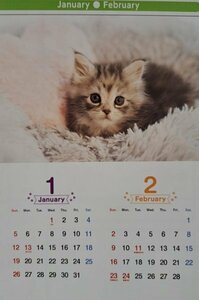 【1冊：大きい カレンダー:可愛い「子猫」:B3:52x36㎝】★2025：可愛い「猫・ネコ・ねこ」★大きな サイズこよみ 暦：見開き：No3