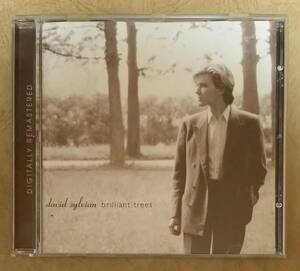 【ROCK】 ※リマスター再発盤　DAVID SYLVIAN(デヴィッド・シルヴィアン) / brilliant trees(ブリリアント・トゥリーズ)　輸入盤　※JAPAN