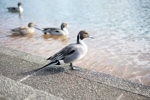 3045　風景写真 L/2Lサイズ 当方オリジナル撮影フリー写真