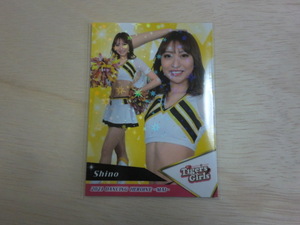 BBM 2023 舞　ホロpp　65 Shino　TigersGirls 阪神タイガース プロ野球チアリーダーカード DANCING HEROINE