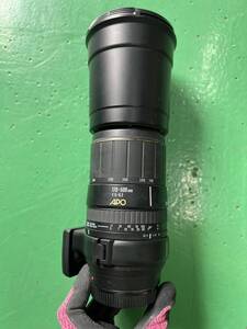 SIGMA　レンズ APO 170-500mm F5-6.3 DG 