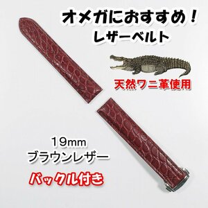 オメガにおすすめ アリゲーター（クロコダイル）レザーベルト ブラウン 幅19mm バックル付き 革ベルト