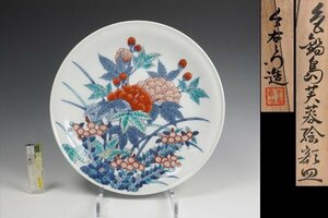 今泉今右衛門 作 色鍋島芙蓉絵額皿 共箱 保証品 ◆11247YL