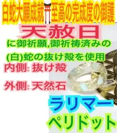 創造性✨協調✨健康運✨癒し✨蛇の抜け殻✨石外✨白蛇の指輪お守り【天赦日ご祈祷】A