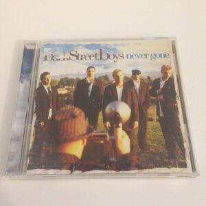 Backstreet Boys Never Gone 国内盤 歌詞対訳付 CD