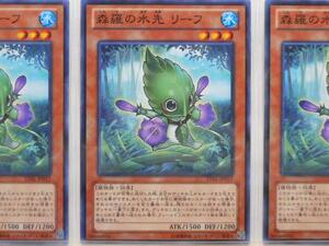 遊戯王　森羅の水先 リーフ　ノーマル　3枚セット