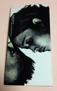 8cmCD BLANKEY JET CITY 「ダンデライオン/シェリル / ダンデライオン(Off Vocal Ver.)」