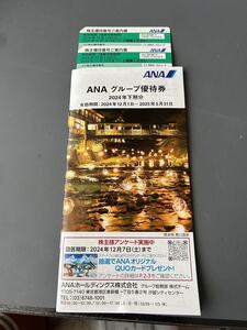 ANA株主優待チケット2枚 ANA グループ優待券 