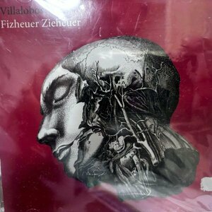 Villalobos / Fizheuer Zieheuer