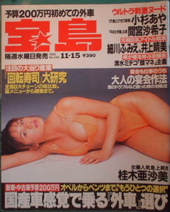 宝島 1995年11月15日号No.334 表紙：桂木亜沙美