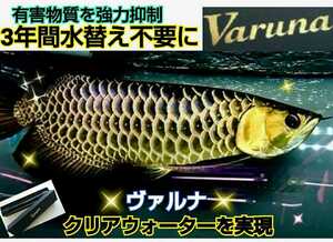 アロワナ飼育者絶賛！水質が抜群に☆【ヴァルナ23センチ】有害物質を強力抑制！透明度が抜群になります！水替え一切不要になります！楽チン