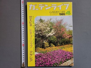 1985年4月号 ガーデンライフ 特集・南九州のエビネ/ユリ咲きチューリップ/アザレア ペピーノ 他　誠文堂新光社　雑誌　園芸　/U