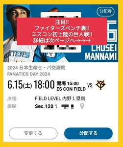 日本ハムファイターズ チケット 6/15 日本ハムvs巨人 sec120 ファイターズベンチ裏!!クッション座席!!ジェットボール飛んできます!お勧め!!