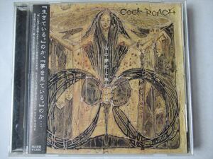 『CD COCK ROACH（コック・ローチ) / 虫の夢死と無死の虫 帯付 ◆CDケース新品』