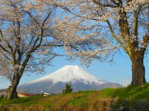 世界遺産 富士山32 写真 A4又は2L版 額付き