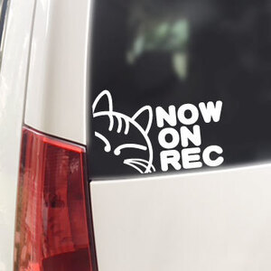 NOW ON REC/ステッカー（白/ネコ13.5cm）ドライブレコーダー搭載車/録画中