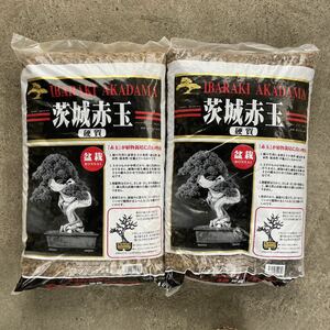 【日本全国送料無料】二本線茨城硬質赤玉-14L-中粒　2個セット