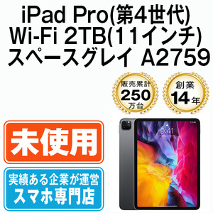 新品 iPadPro4 2TB スペースグレイ A2759 Wi-Fiモデル 11インチ 第4世代 2022年 本体 未使用品