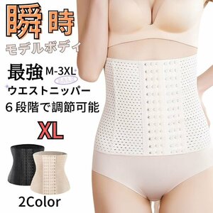 レディース ウエストニッパー XL ベージュ 補正下着 産後 ダイエット 引き締め 大きい メッシュ 骨盤矯正 くびれ 肋骨 下腹 通気性 腰痛